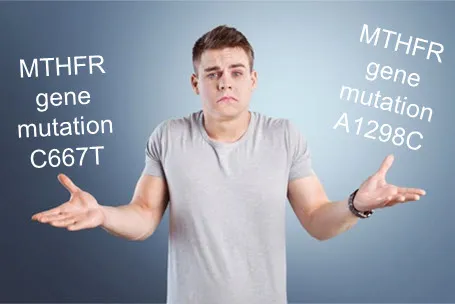 MTHFR Genes C677T vs A1298C