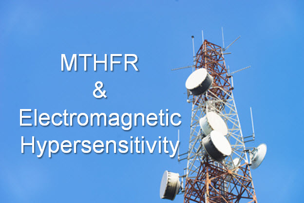 MTHFR & electromagnetic hypersensitivity